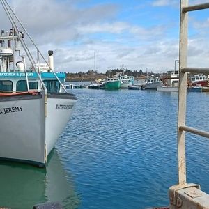 Meet your Posher, Erick